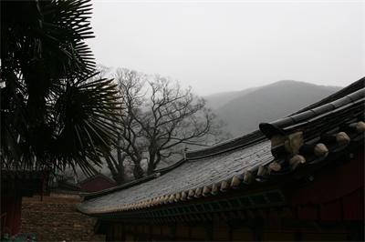 대표사진