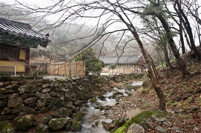 대표사진