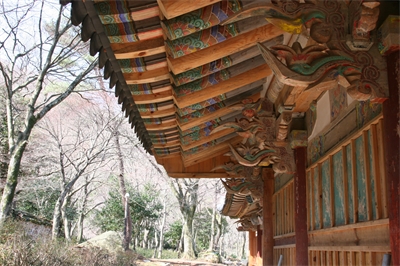 대표사진