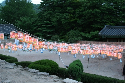 대표사진