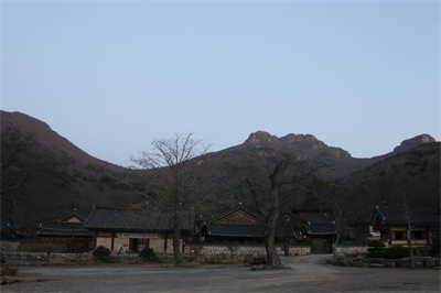 대표사진