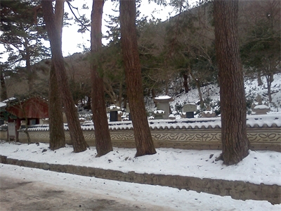 대표사진