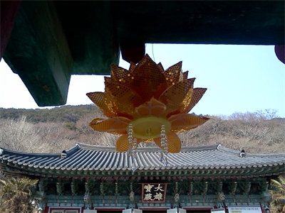 대표사진