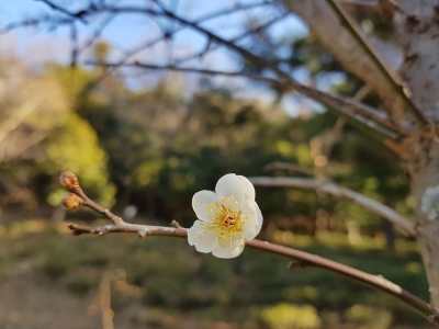 대표사진