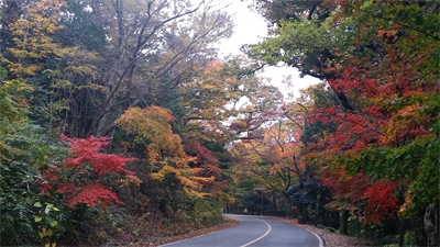 대표사진