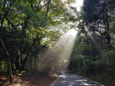 대표사진