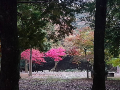 대표사진