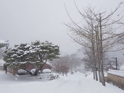 대표사진