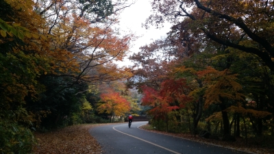 대표사진