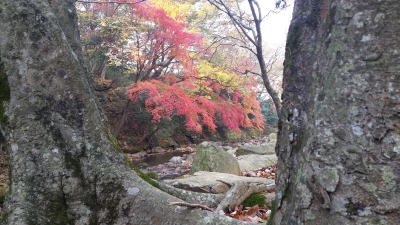 대표사진