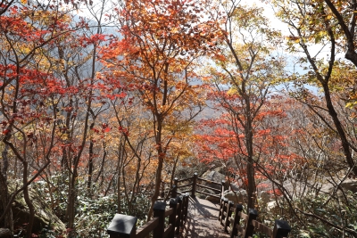 대표사진