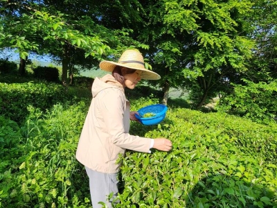 대표사진