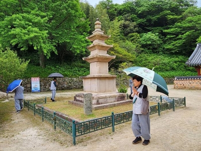 대표사진